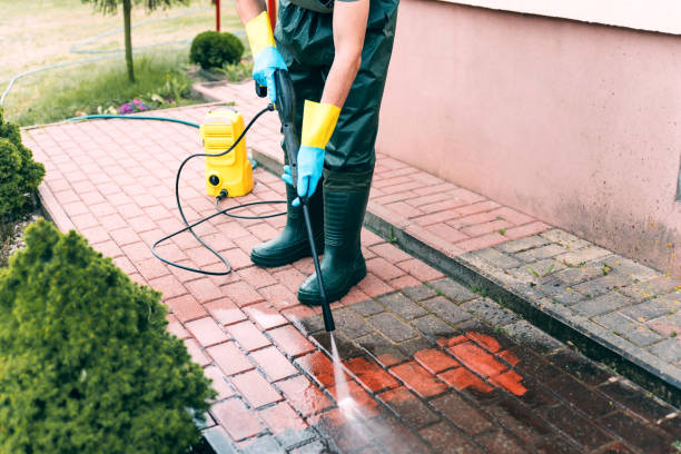 Best Animal Enclosure Cleaning  in Ruston, WA