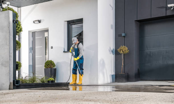 Professional Pressure Washing Services in Ruston, WA